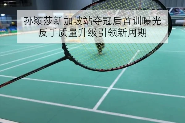 孙颖莎新加坡站夺冠后首训曝光 反手质量升级引领新周期